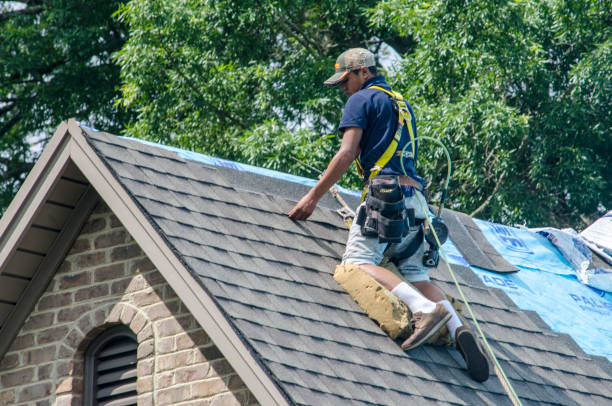 Best Gutter Installation and Roofing  in , MS